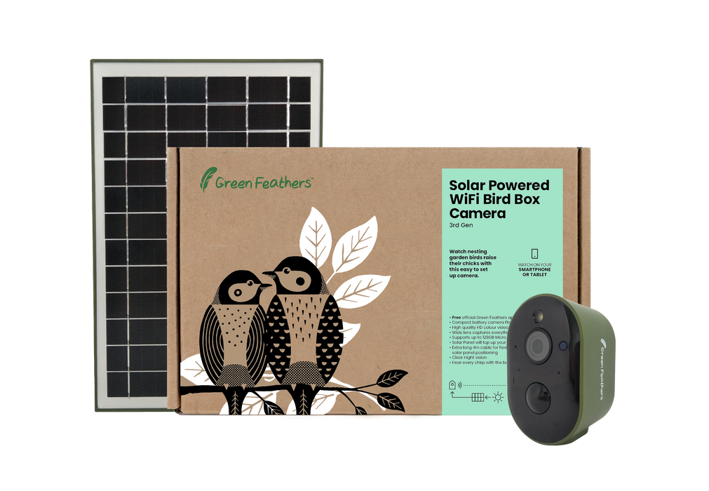 Green Feathers Solar Powered WiFi Bird Box Camera