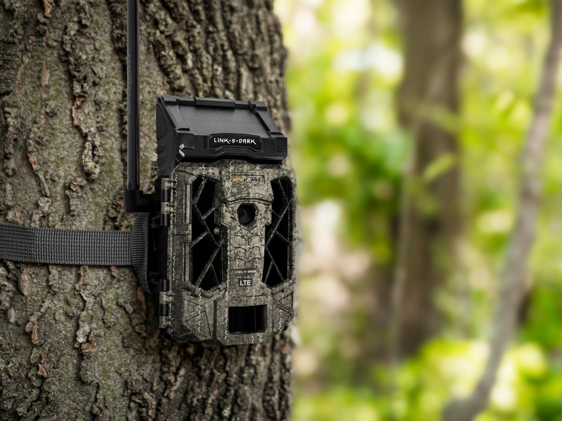 Trail Camera