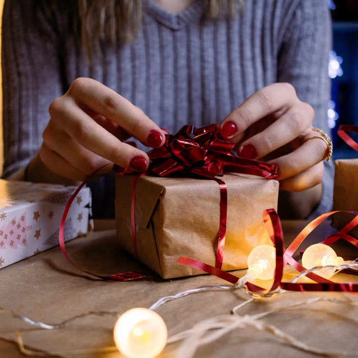 Christmas Gift Guide 2019 – Wildlife Bird Box Camera Gifts