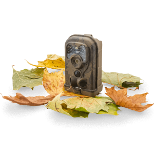 Garden online spy cameras