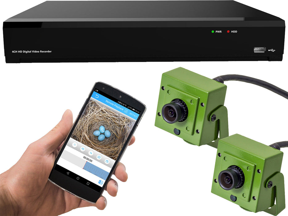 Green Feathers Aviary Camera HD Recorder Bundle