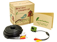 Green Feathers Bird Box Camera with Night Vision & 20m Cable - SpyCameraCCTV