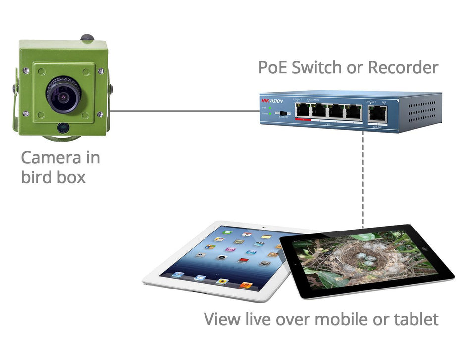 Hd ip bird box hot sale camera