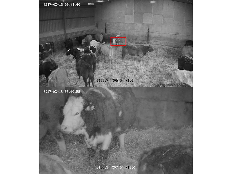 Wireless Calving Camera PTZ Dome 15x Zoom 3km Range - SpyCameraCCTV