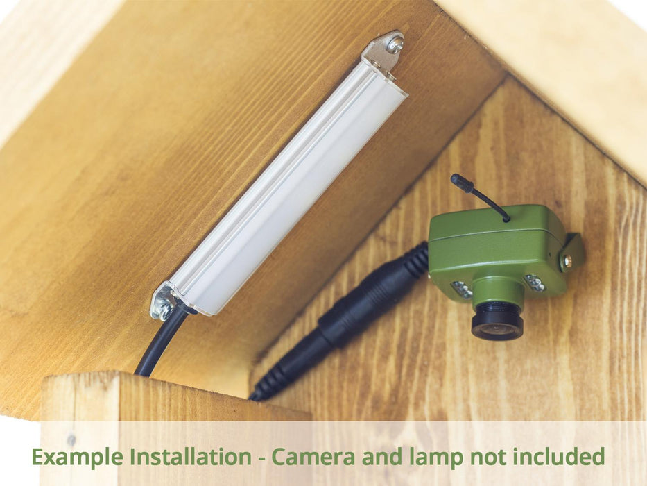 Green Feathers Wooden Bird Box  - FSC Certified, UK made - SpyCameraCCTV