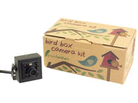 Green Feathers 1080p HD Wired Bird Box Camera - Watch On Your TV - SpyCameraCCTV