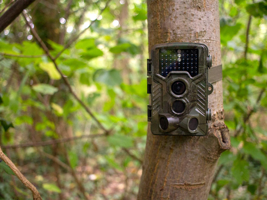 B-Grade Waterproof Trail Wildlife HD Camera with PIR Triggering - SpyCameraCCTV