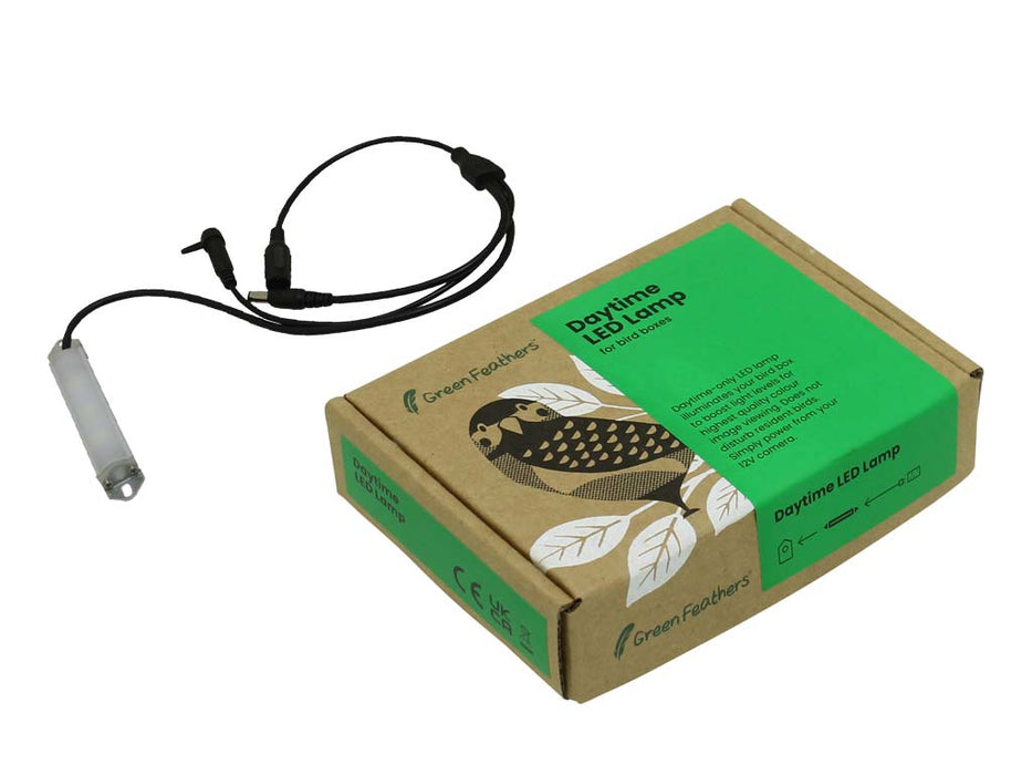 bird box led light