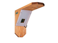 bird feeder mount with camera