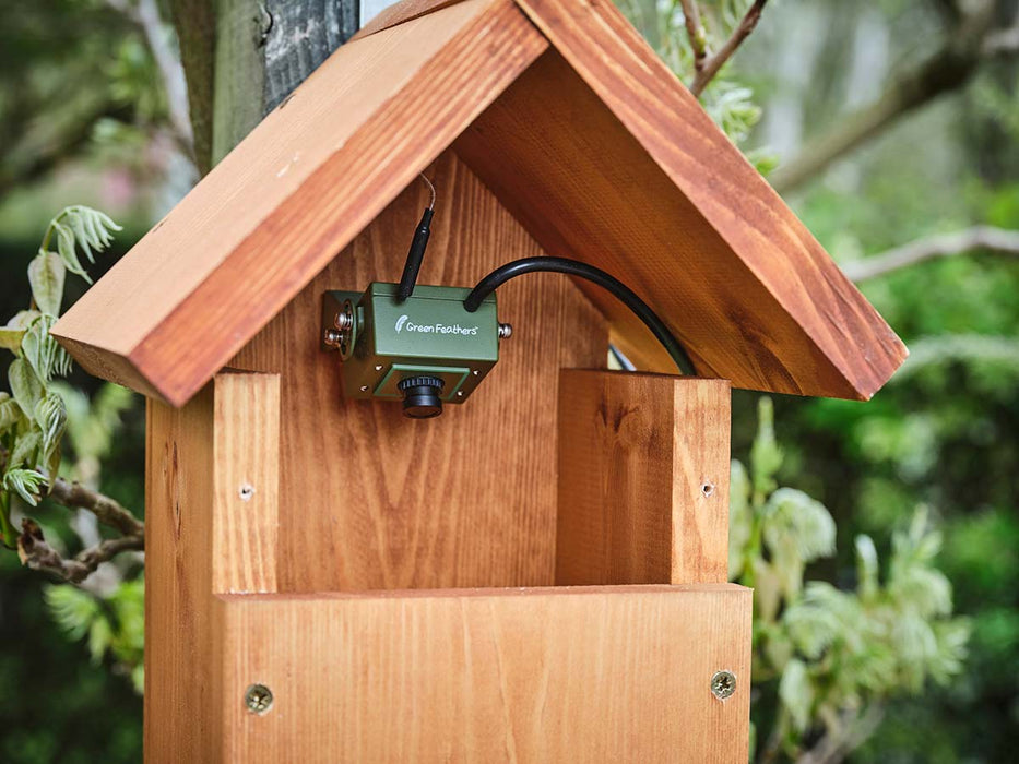 view of bird box camera inside wooden bird box