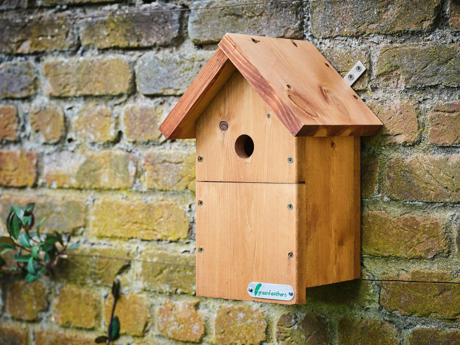 Green Feathers Bird Box Camera Deluxe Bundle TV Cable Connection