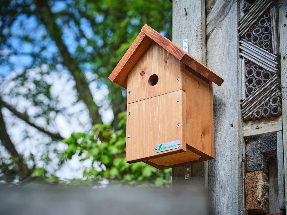 handmade cedarwood bird box