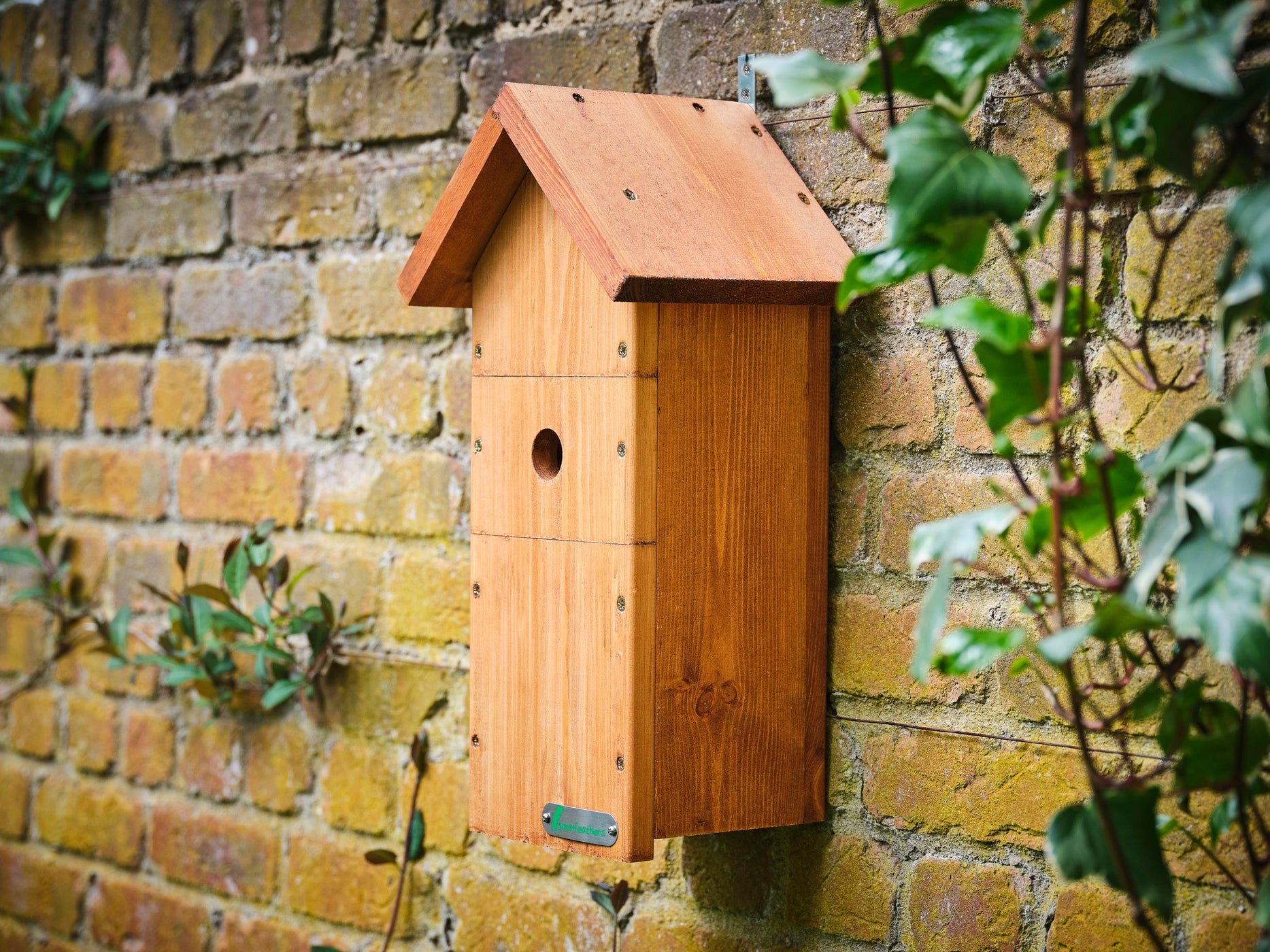 Complete Deluxe HD Wired Bird Box Camera Kit | Green Feathers ...