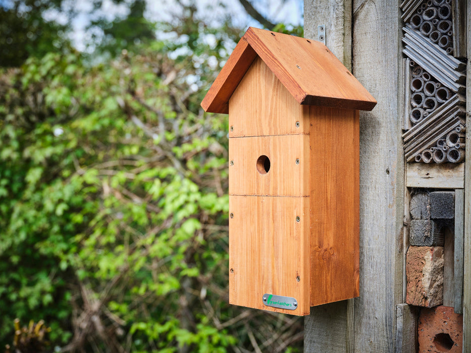 Green Feathers Bird Box Camera HD Deluxe Bundle Network Cable Connection