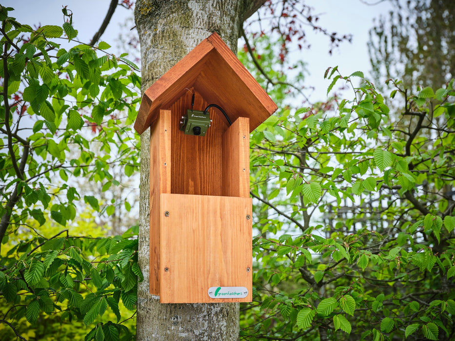 green feathers bird box with camera