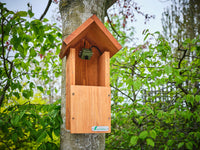 mounted bird box camera