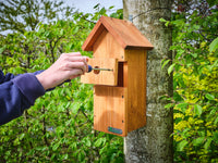 removing a bird box panel