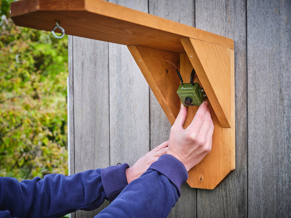 placement of bird feeder camera