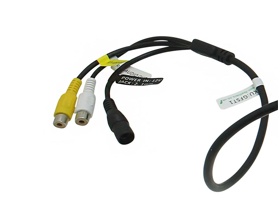 Green Feathers Bird Box Camera TV Cable Connection