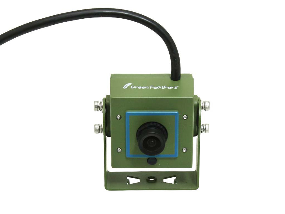 Green Feathers Bird Box Camera TV Cable Connection