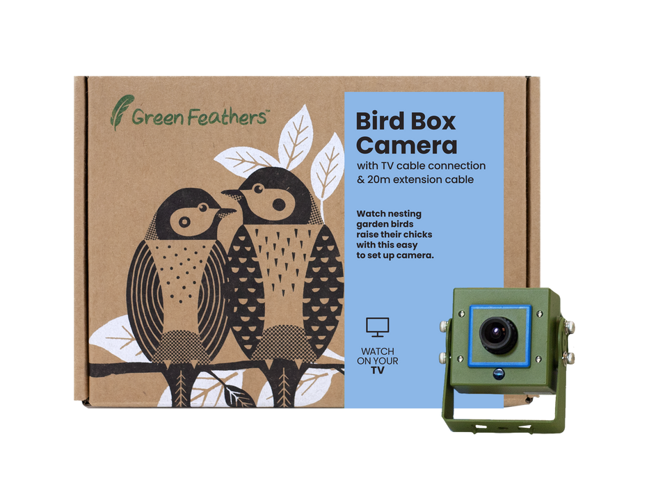 Green Feathers Bird Box Camera Deluxe Bundle TV Cable Connection