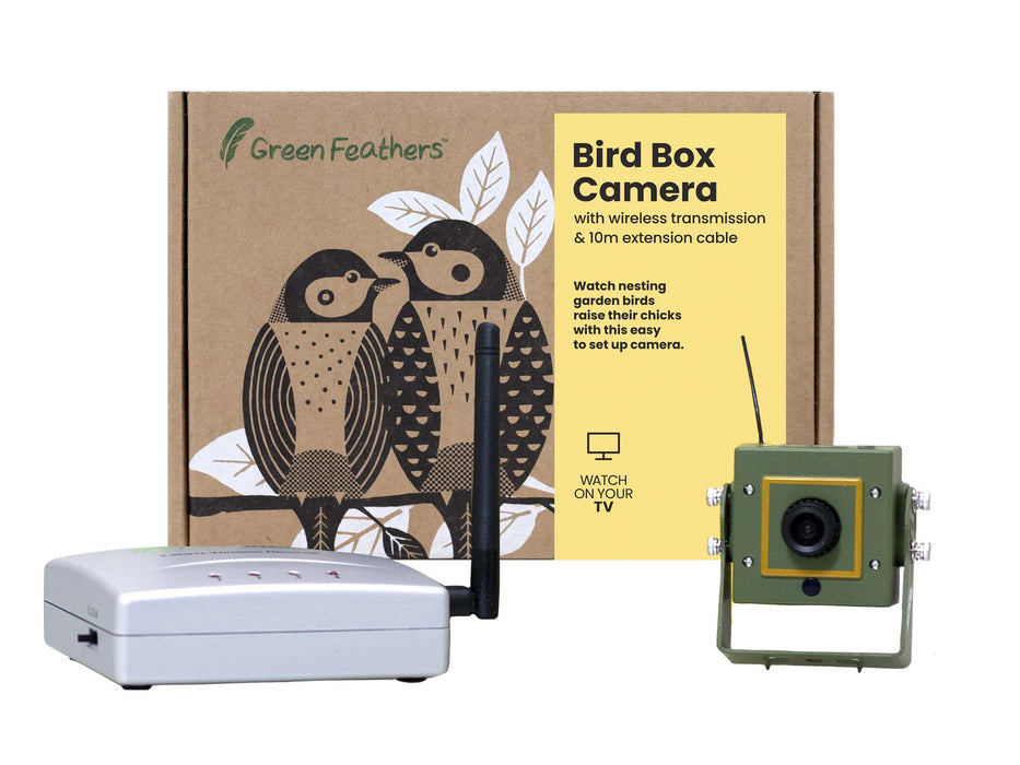 Green Feathers Bird Box Camera Deluxe Bundle Wireless Transmission