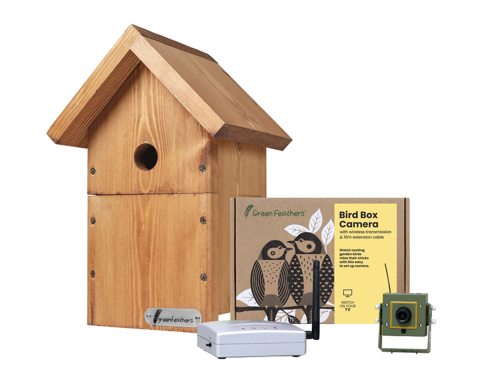 DIY Bird Box Camera Kit Build Nest Box With Camera Green