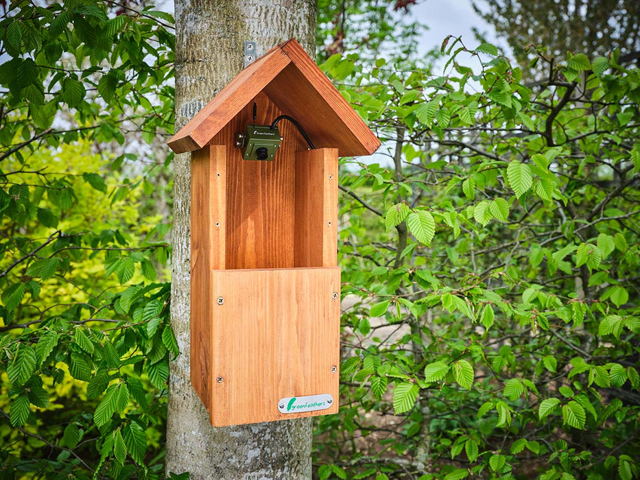 wifi bird box camera installed in nest box