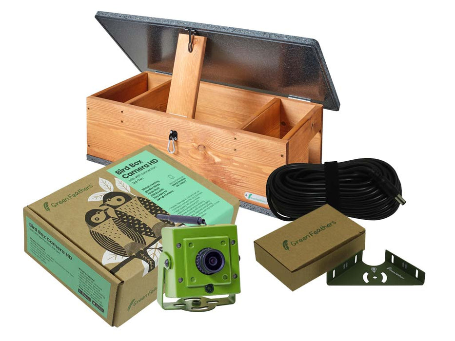 hedgehog feeding station with wifi camera