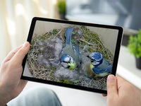 green feathers bird box videos