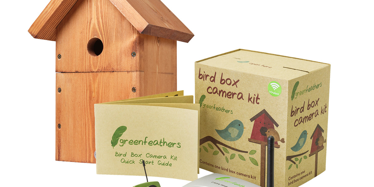 Complete DIY Wireless Bird Box Camera Kit SpyCameraCCTV