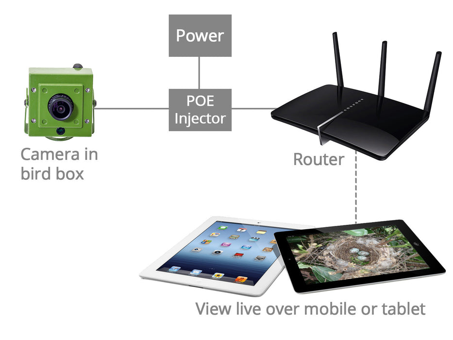 Green Feathers Bird Box Camera HD Network Cable Connection