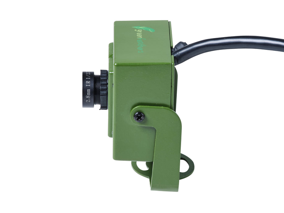 Green Feathers Bird Box Camera HD Network Cable Connection