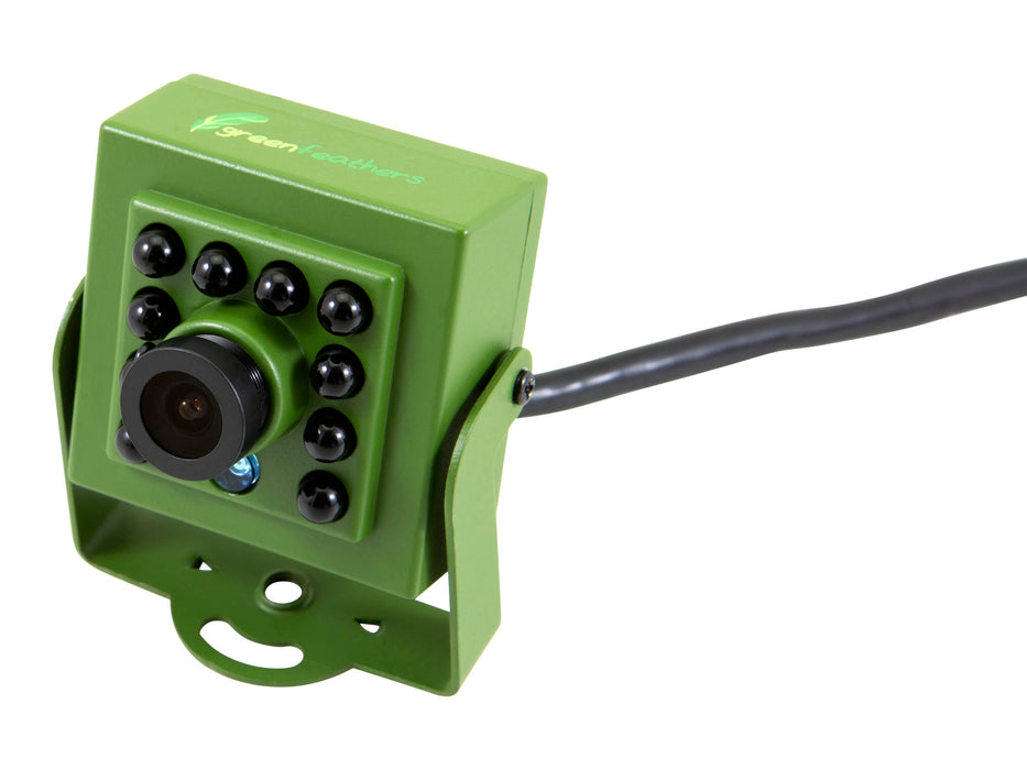 Green Feathers Bird Box Camera HD with TV Cable Connection